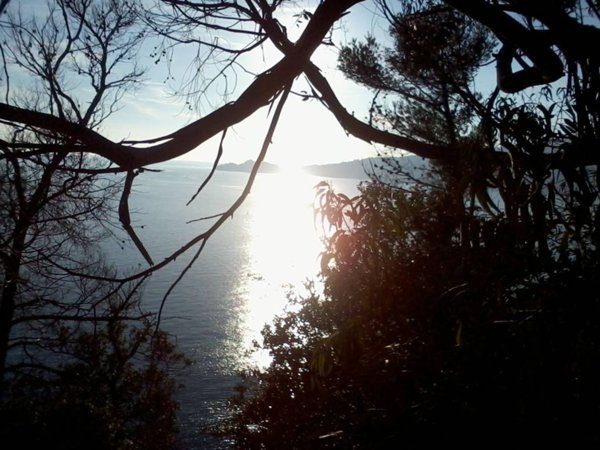 appartamento in vendita a Rapallo