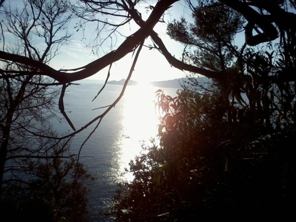 appartamento in vendita a Rapallo