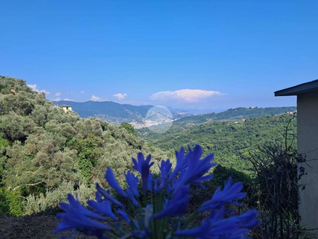 casa semindipendente in vendita a Rapallo in zona San Martino di Noceto