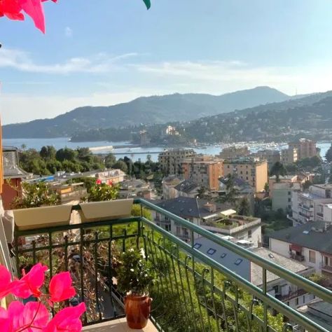 appartamento in vendita a Rapallo in zona Montallegro