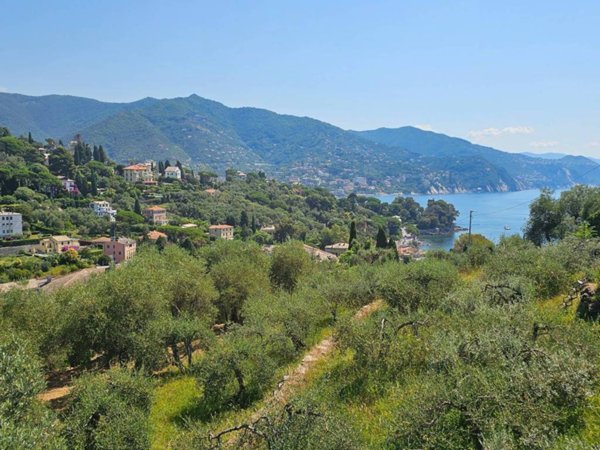 casa indipendente in vendita a Rapallo in zona San Michele di Pagana