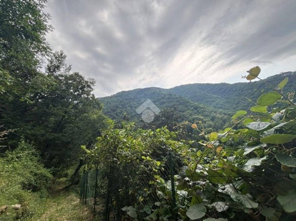 terreno agricolo in vendita a Rapallo in zona Sant'Andrea di Foggia