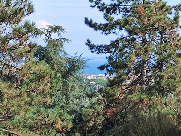 appartamento in vendita a Rapallo