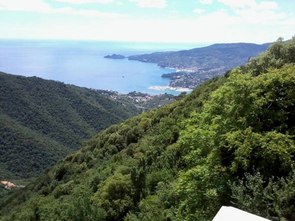 appartamento in vendita a Rapallo
