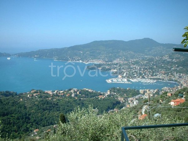 appartamento in vendita a Rapallo