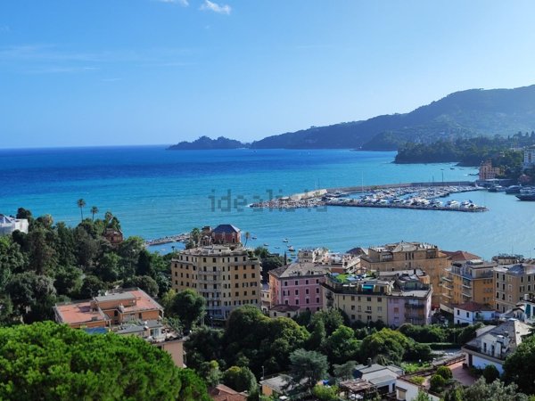 appartamento in vendita a Rapallo