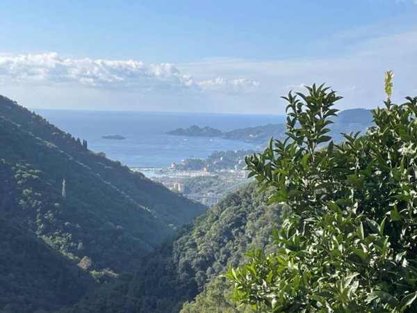 casa indipendente in vendita a Rapallo
