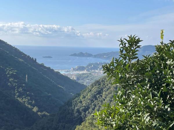 casa indipendente in vendita a Rapallo in zona Montallegro