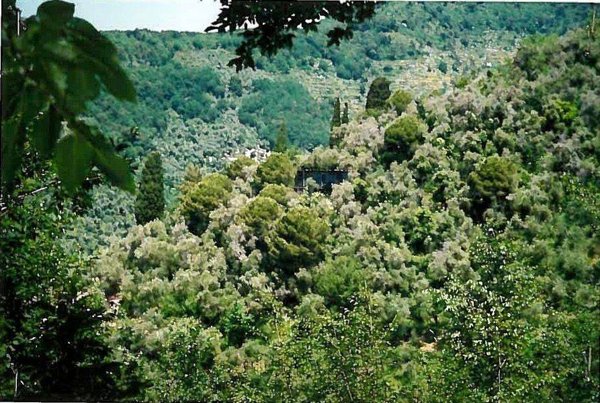 terreno agricolo in vendita a Rapallo