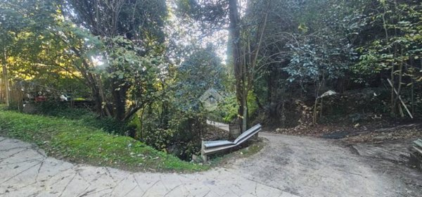 terreno agricolo in vendita a Rapallo in zona San Martino di Noceto