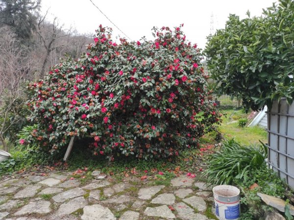 casa indipendente in vendita a Rapallo in zona San Michele di Pagana