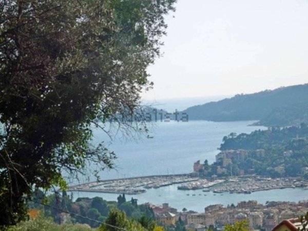 pentavano in vendita a Rapallo