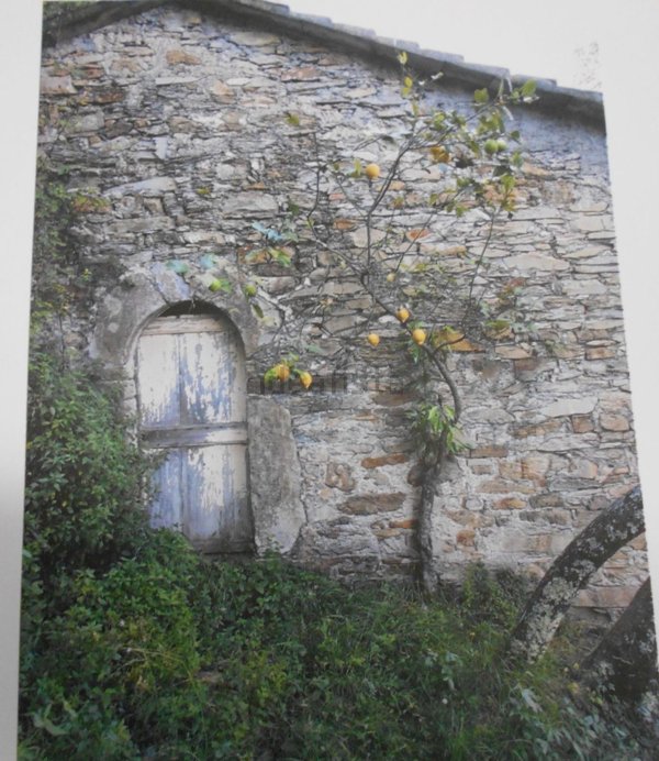 appartamento in vendita a Rapallo