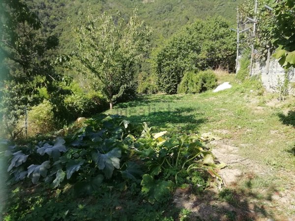 casa indipendente in vendita a Rapallo
