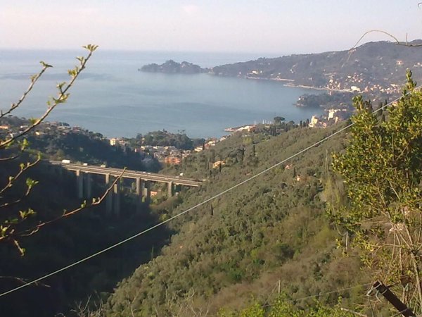 quadrivano in vendita a Rapallo