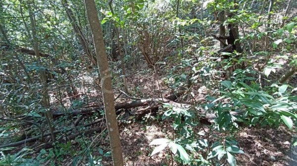 negozio in vendita a Rapallo