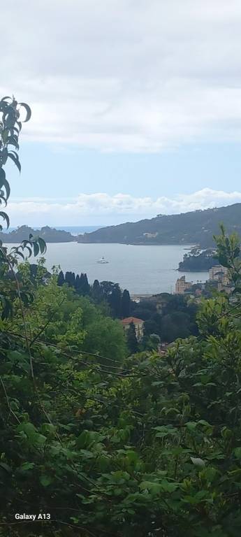 casa indipendente in vendita a Rapallo