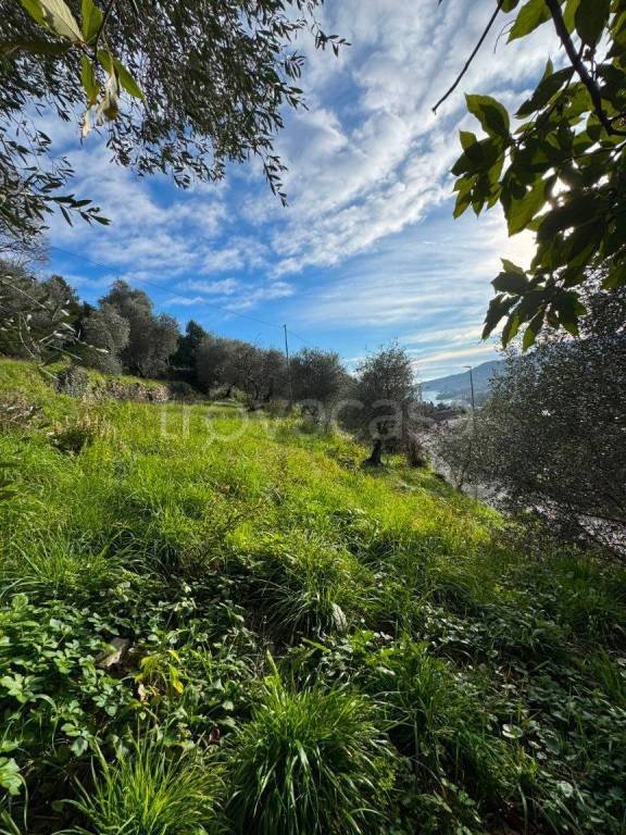 casa indipendente in vendita a Rapallo