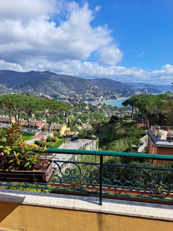 multiproprieta in vendita a Rapallo in zona San Michele di Pagana