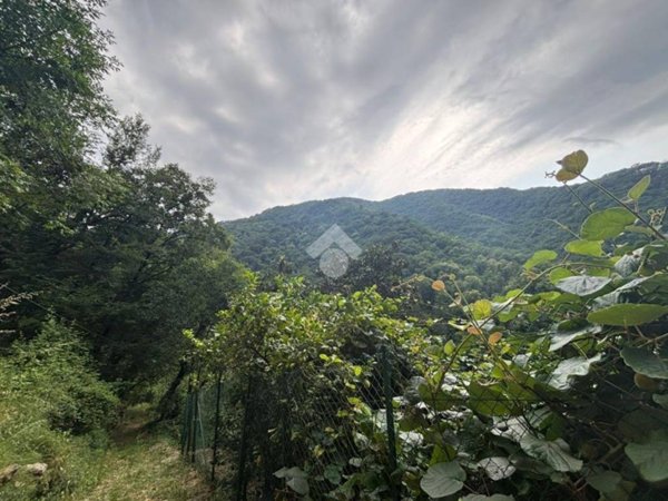 terreno agricolo in vendita a Rapallo in zona Sant'Andrea di Foggia