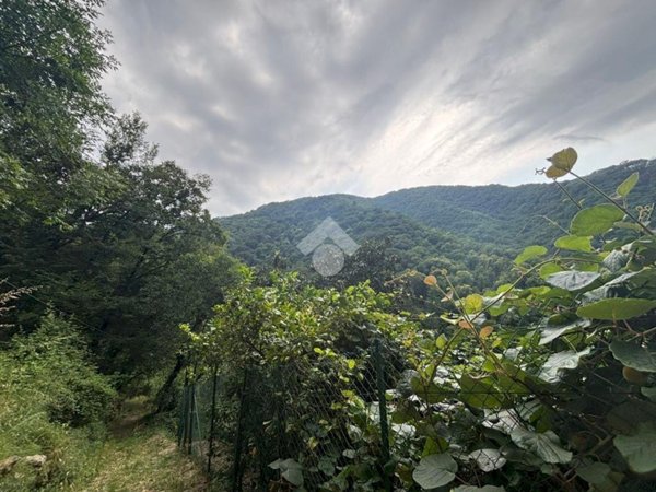 terreno agricolo in vendita a Rapallo in zona Sant'Andrea di Foggia