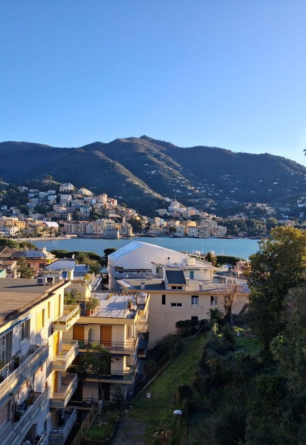 appartamento in vendita a Rapallo in zona San Michele di Pagana