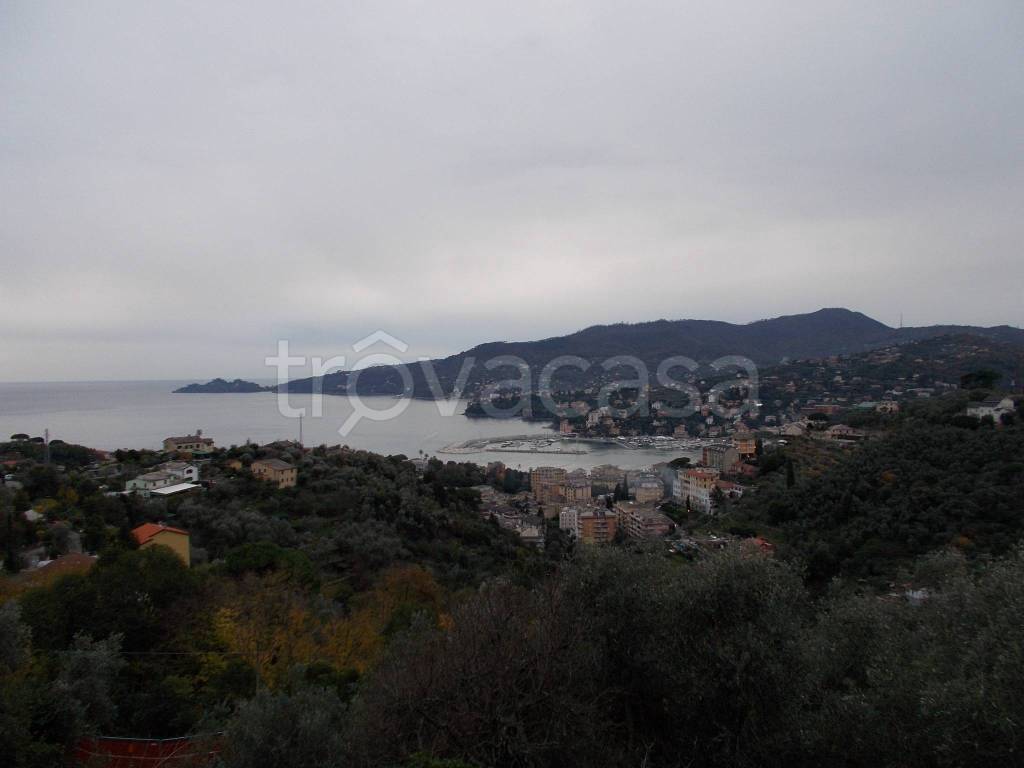 casa indipendente in vendita a Rapallo in zona Montallegro