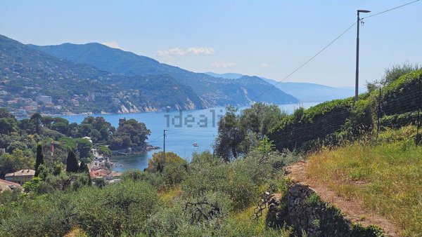 appartamento in vendita a Rapallo in zona San Michele di Pagana