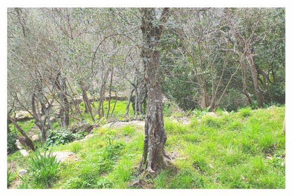 appartamento in vendita a Rapallo in zona San Martino di Noceto