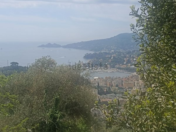 casale in vendita a Rapallo