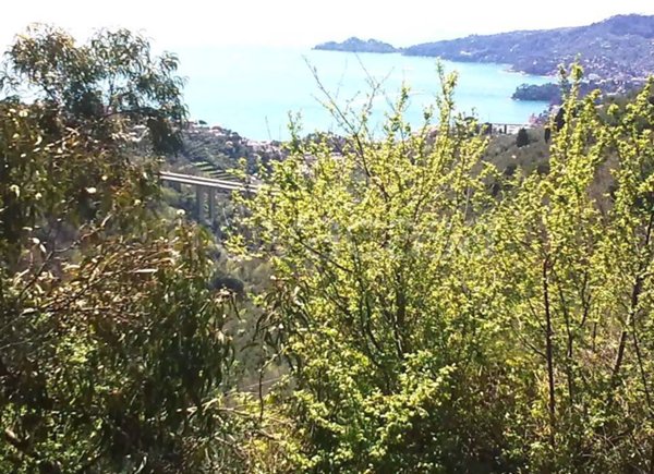 appartamento in vendita a Rapallo in zona Montallegro