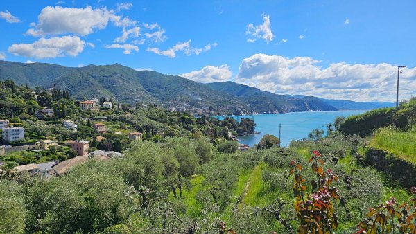appartamento in vendita a Rapallo in zona San Michele di Pagana