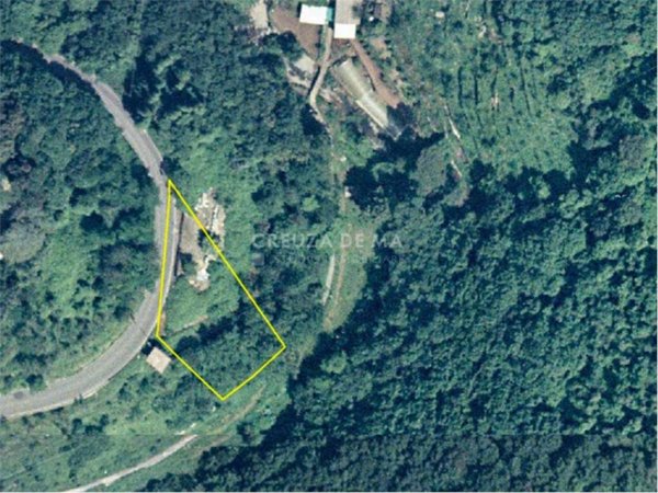 terreno agricolo in vendita a Rapallo in zona San Maurizio di Monti