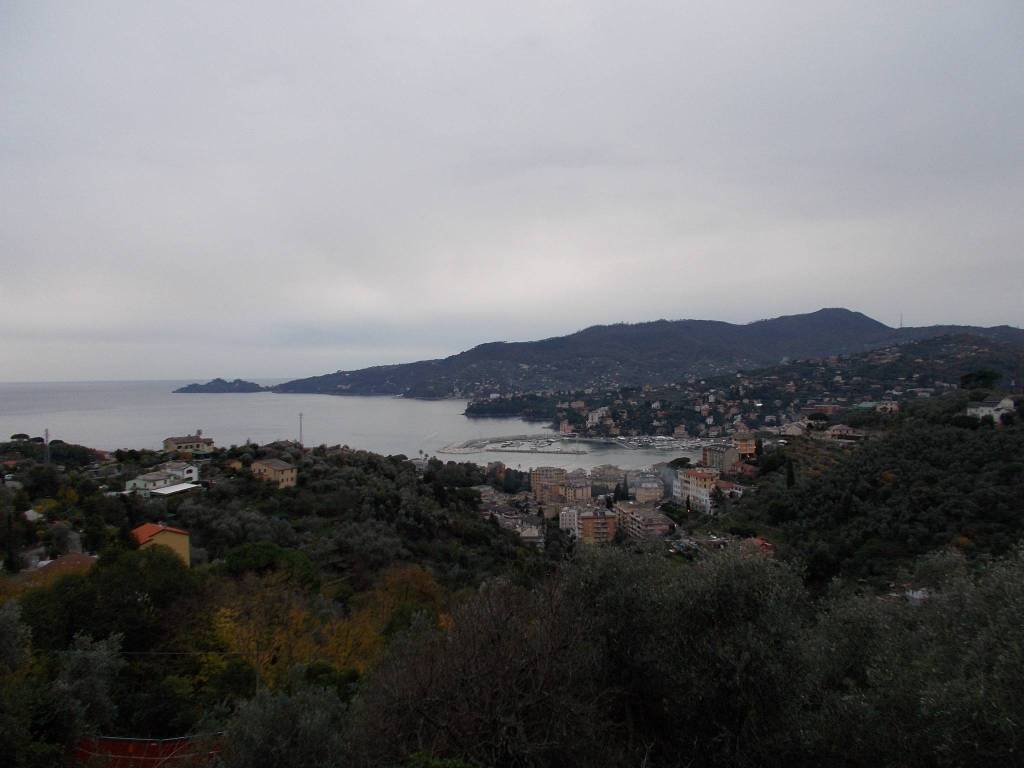 casa indipendente in vendita a Rapallo in zona San Michele di Pagana
