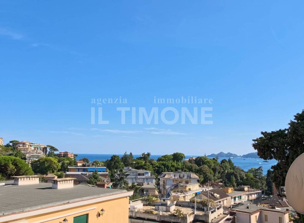 immagine annuncio 0 di 15