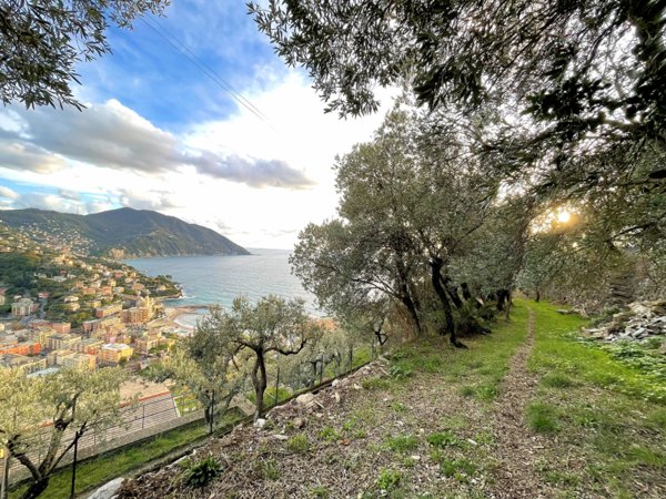 terreno edificabile in vendita a Recco in zona Megli