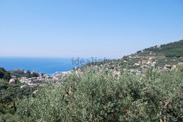 casa indipendente in vendita a Recco