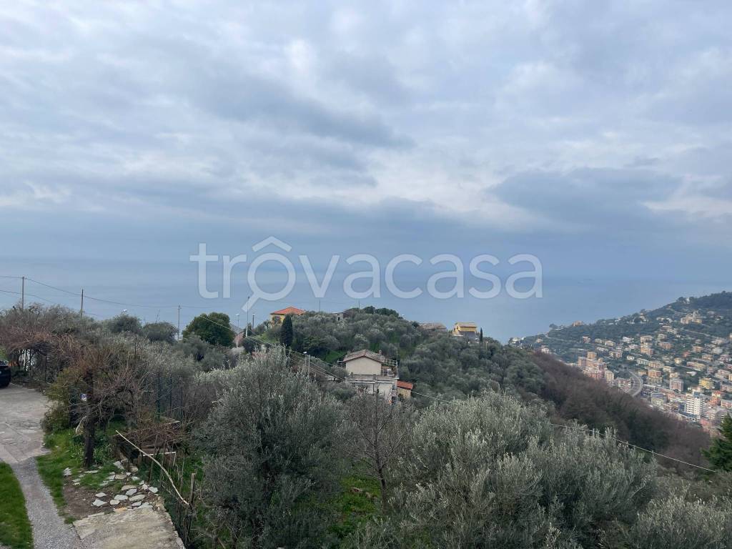 casa indipendente in vendita a Recco