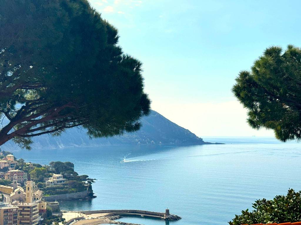 appartamento in vendita a Recco in zona Megli