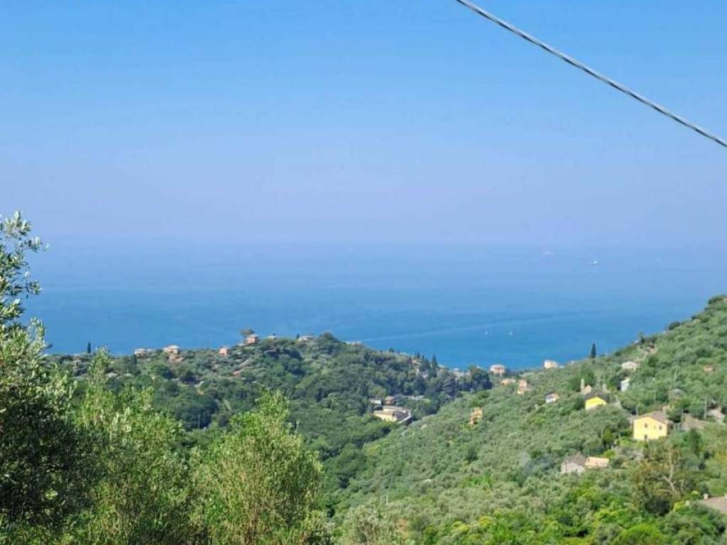 terreno agricolo in vendita a Recco