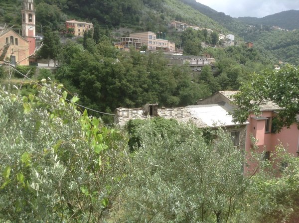 casale in vendita a Recco