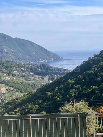 casa indipendente in vendita a Recco