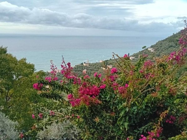 appartamento in vendita a Recco in zona Megli