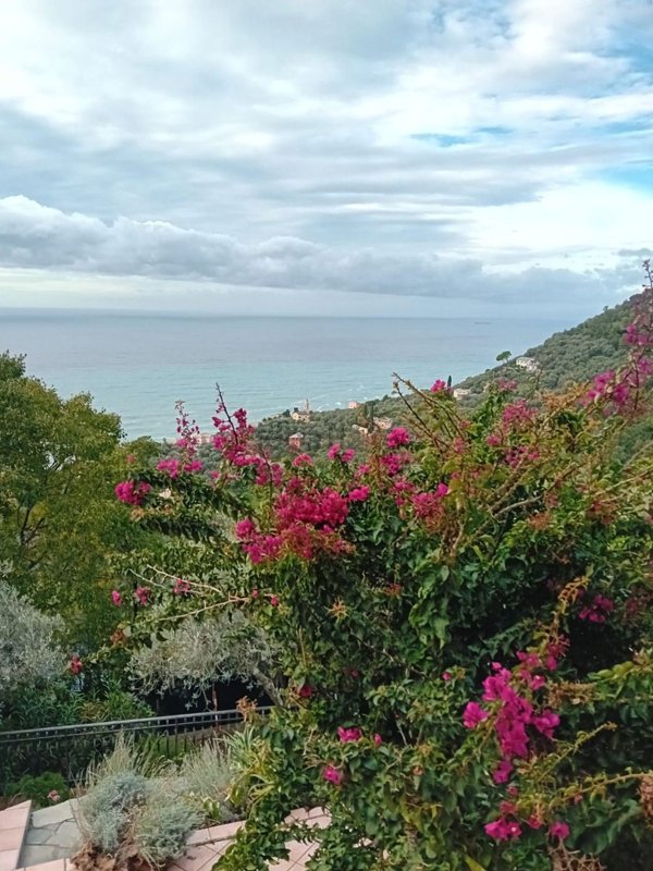 appartamento in vendita a Recco