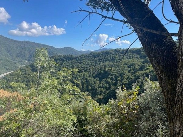 casale in vendita a Recco