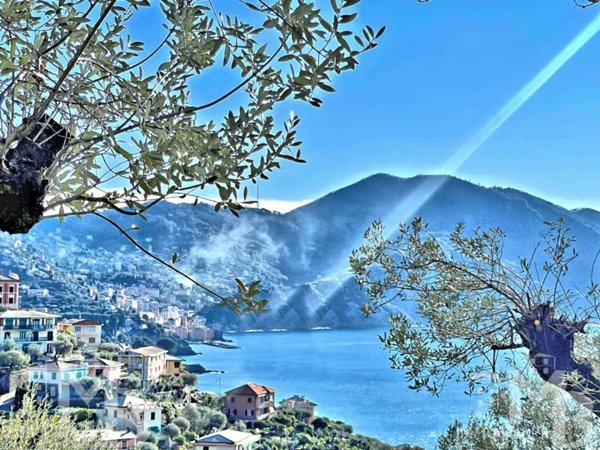 casa indipendente in vendita a Recco in zona Polanesi