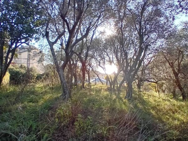 appartamento in vendita a Recco