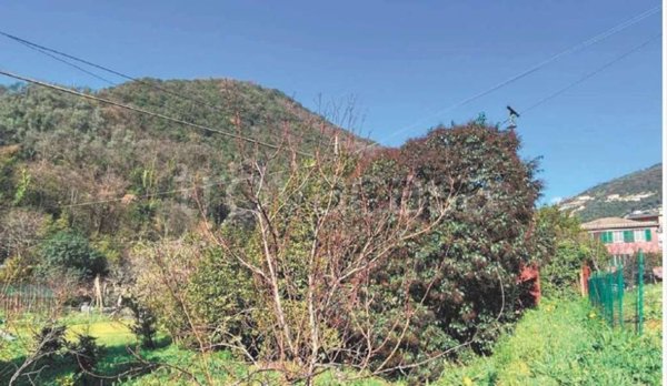 appartamento in vendita a Recco in zona San Rocco