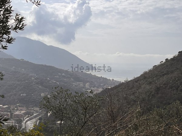 casa indipendente in vendita a Recco