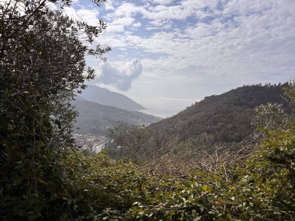 casa indipendente in vendita a Recco in zona San Rocco